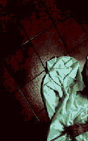 61
